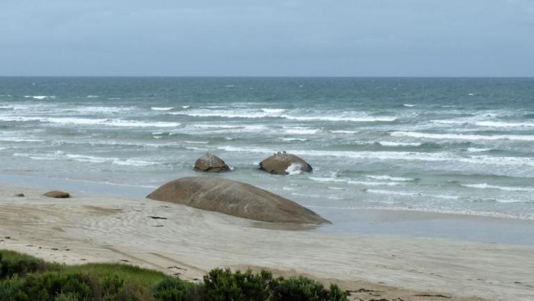 Granites